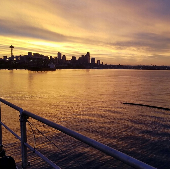 Meet your Posher, Horus - Picture 2 of 5